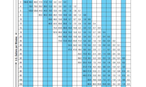 HOSE FLOW CAPACITIES PRESSURE DROP HOSE FLOW CAPACITIES PRESSURE DROP